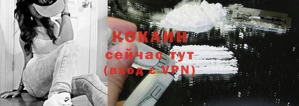 МДПВ Михайлов