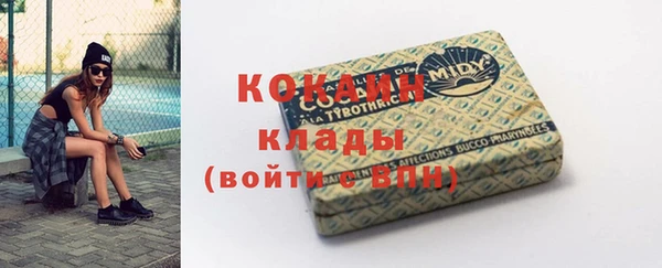 МДПВ Михайлов