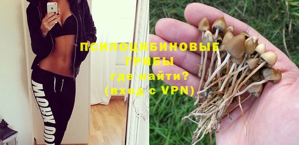 прущие грибы Семёнов