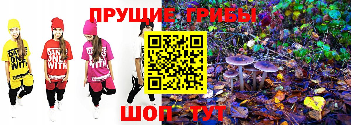 Галлюциногенные грибы мицелий  Усть-Кут 